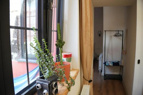 Fotografie z fotogalerie ubytování Communa Guesthouse v destinaci Gjumri