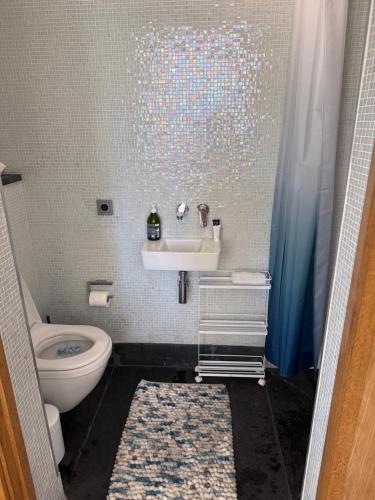 un baño con lavabo e inodoro en Magnifique studio entier avec terrasse Saint Jean Cap Ferrat, en Saint-Jean-Cap-Ferrat