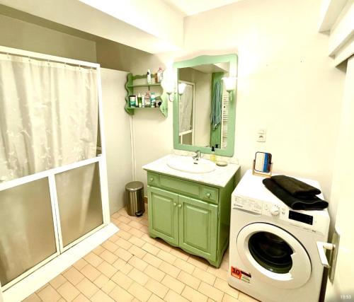 une salle de bain avec une machine à laver et un lavabo dans l'établissement Cosy T3 Vannes, à Vannes