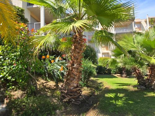 Appartement mer et centre ville