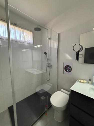 une salle de bain avec une douche, des toilettes et un lavabo dans l'établissement Aix en Provence, dans grande résidence arborée, appartement de 80m2, à Aix-en-Provence