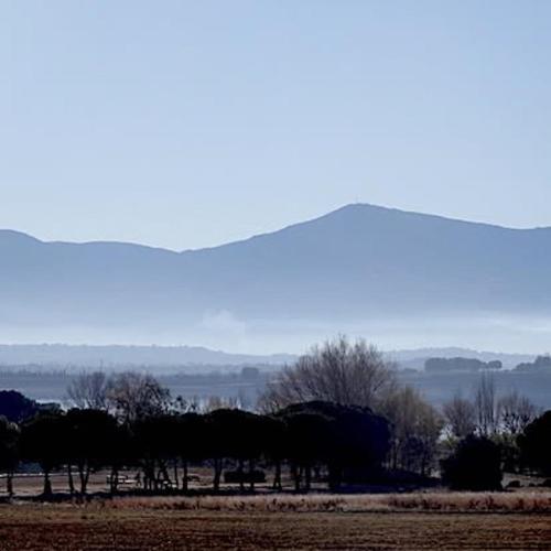 a field with trees and a mountain in the background at La Martanne in Argelès-sur-Mer