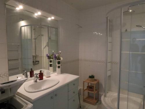 une salle de bain avec un lavabo et une douche dans l'établissement Appartement charmant à Royan - 4 pers, proche marché, balcon, ascenseur, équipements bébé - FR-1-738-13, à Royan