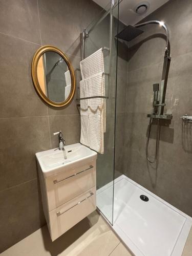 une salle de bain avec un lavabo et une douche avec un miroir dans l'établissement Cosy Studio Hyper Centre-Ville, à Nice
