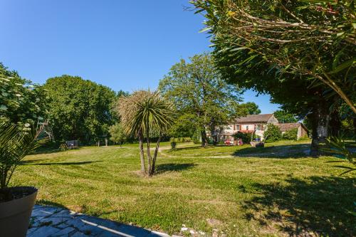 a palm tree in the yard of a house at Gite du Parc in Genouillé