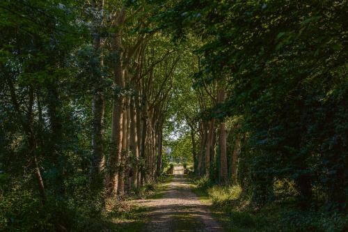 a dirt road through a forest of trees at Gite du Parc in Genouillé