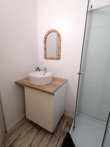 une salle de bain avec un lavabo et un miroir dans l'établissement Appartement L'Hirondelle, à Anduze