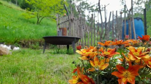 Taman di luar Ferienparadies Maierbauernhof