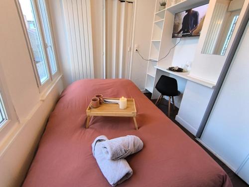 TV a/nebo společenská místnost v ubytování LeRelaisdOdile - Suite Studios Confort - Idéal PRO & Couple - LILLE VAUBAN