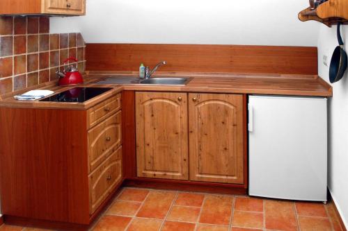 a kitchen with wooden cabinets and a sink and a refrigerator at Hájenka hraběte Buquoye in Kaplice