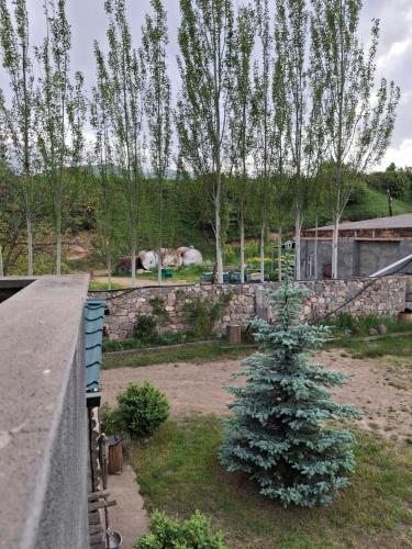 a christmas tree in a yard next to a fence at Tatev 1 in Tatʼev