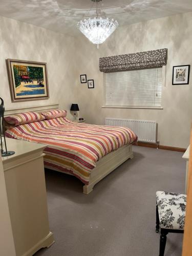 a bedroom with a large bed and a chandelier at Pennisula Apartment in Portrush
