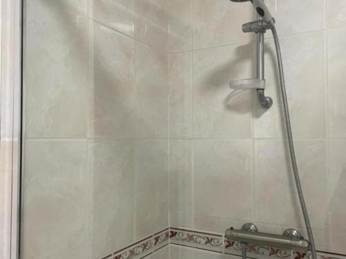 a shower with a glass door in a bathroom at Gîte à Oisly près des Châteaux de la Loire avec Parking et Animaux Bienvenus - FR-1-491-469 in Oisly