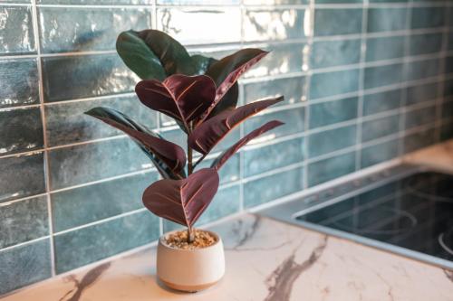 a plant in a pot sitting on a counter at Laura City Apartments by the Sea in Lampi