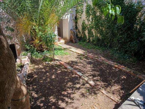 Gallery image of Apartment with quiet yard and garden in Milna
