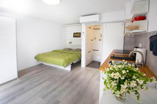 Ένα ή περισσότερα κρεβάτια σε δωμάτιο στο Apartment Studio Green