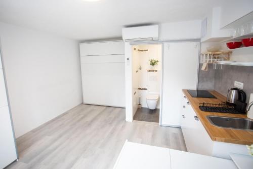 Η κουζίνα ή μικρή κουζίνα στο Apartment Studio Green