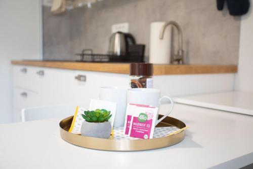 Η κουζίνα ή μικρή κουζίνα στο Apartment Studio Green