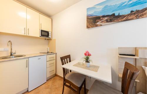 a kitchen with a table and chairs in a room at Cozy Apartment In Baska Voda With Wifi in Baška Voda