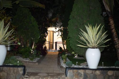 Κήπος έξω από το Kigali Haven Apartment