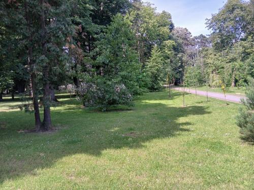 a park with trees and grass and a road at Tri srca in Banja Koviljača