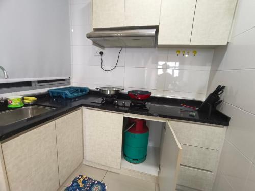 Η κουζίνα ή μικρή κουζίνα στο Arc austin hill 3room apartment host by Wendy