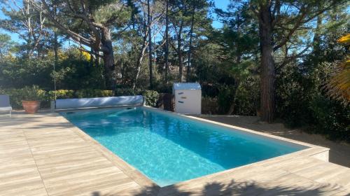 - une piscine dans une cour arborée dans l'établissement Villa La Dune aux Loups, à Saint-Jean-de-Monts