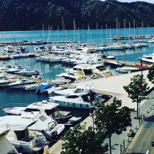 a bunch of boats are docked in a harbor at Hotel Restaurant L'Europe in Saint-Florent