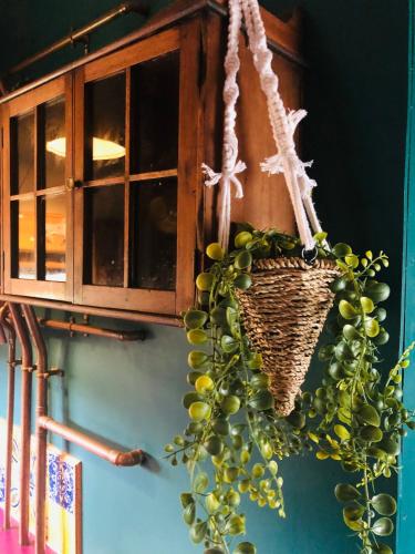 a basket of green grapes hanging from a cabinet at The Stables & Silos in Braintree