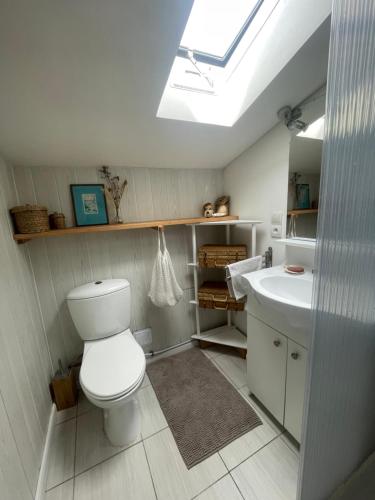 une salle de bain avec toilettes et lavabo dans l'établissement Paloma Blanca, à Naujac-sur-Mer