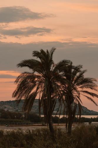 Φυσικό τοπίο κοντά σε αυτή η βίλα
