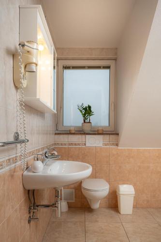 a bathroom with a sink and a toilet and a window at Rooms & Apartments Pr Matjon in Bled