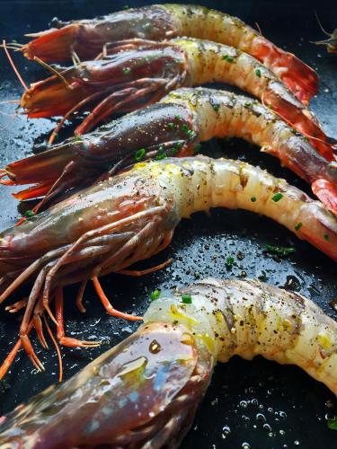 a bunch of seafood sitting on a grill at Hotel Restaurant L'Europe in Saint-Florent