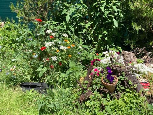 Jardín al aire libre en Vadvirágos