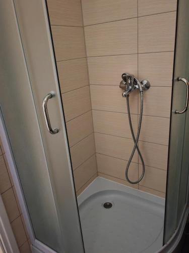 a shower with a shower head in a bathroom at Apartments Sandra in Vrsar