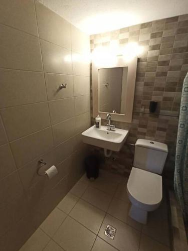 a bathroom with a toilet and a sink and a mirror at Eleni Sea Side House near town and beach in Megali Ammos