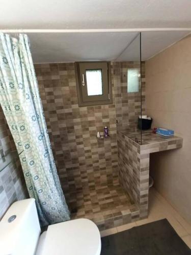 a bathroom with a shower with a toilet and a window at Eleni Sea Side House near town and beach in Megali Ammos