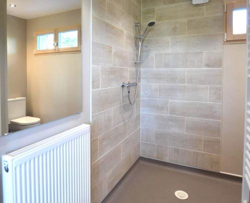 a bathroom with a shower and a toilet at Ty Log Llansteffan in Llanstephan