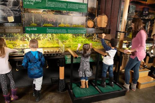 a group of children looking at an aquarium in a museum at voco Saranac Lake NY - Waterfront by IHG in Saranac Lake