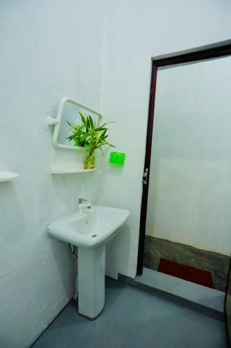 a bathroom with a sink and a plant on the wall at Rilu Relax villa Arugambay in Arugam Bay