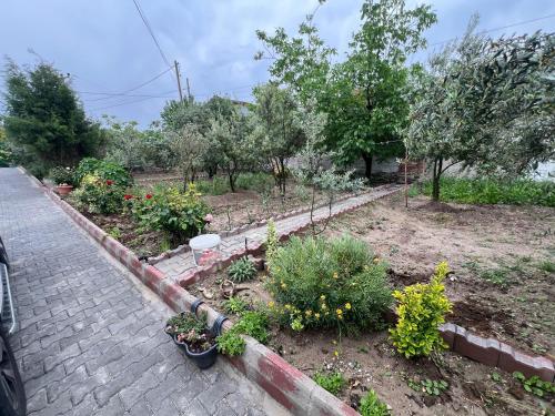 a garden with plants and trees and a brick sidewalk at Panorama house in Denizli