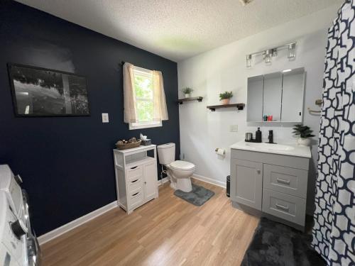 a bathroom with a toilet and a sink and a mirror at Bluebird Liberty Cottage in Saint Robert