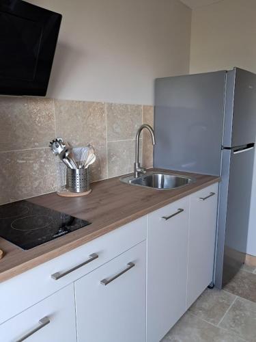a kitchen with a sink and a refrigerator at Gîte Du Côté de Chez Souesmes in Souesmes