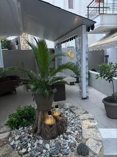 a potted plant sitting on a tree stump in a courtyard at Studio Green Patio in Hanioti