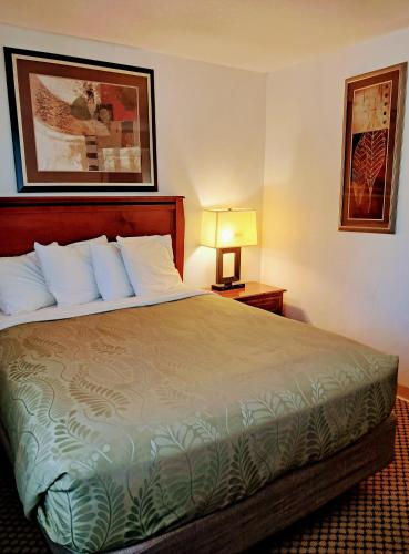 a bed in a hotel room with a lamp on a table at National 9 Inn Showboat in Casper