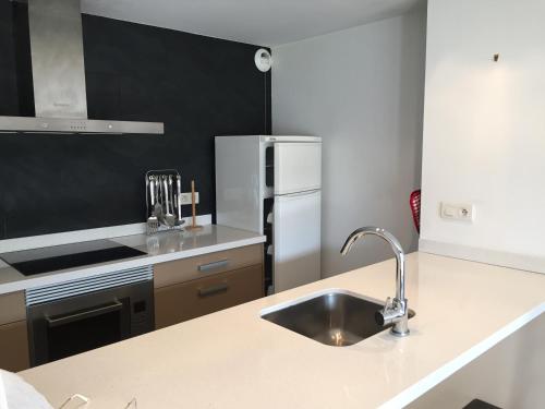 une cuisine avec un évier et un réfrigérateur dans l'établissement Evasion à la montagne, à Saillagouse
