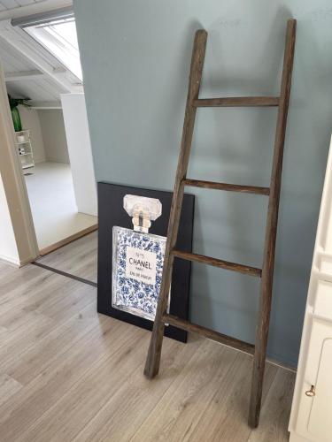 a ladder leaning against a wall with a box at Bij Risje dorp in Ballum