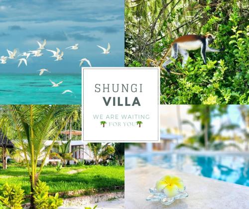 Billede fra billedgalleriet på Shungi Villa Zanzibar Trips Included from 3 nights i Tongoni