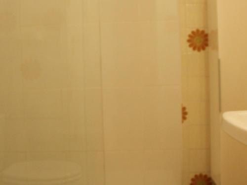 une salle de bain avec une douche avec des toilettes et un lavabo dans l'établissement Confort 22m² ✅WIFI, Animaux admis, Près des Thermes - FR-1-503-22, à Balaruc-les-Bains