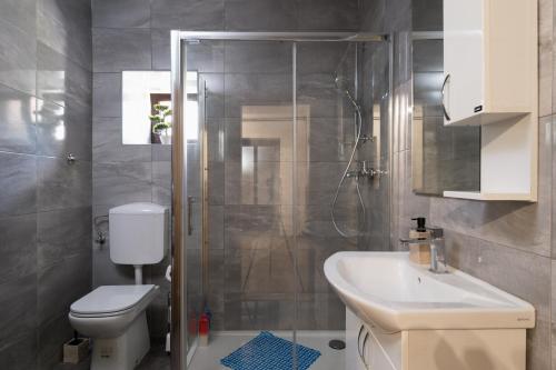 a bathroom with a shower and a toilet and a sink at Kuća za odmor Roko in Sveti Rok